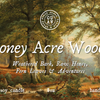 Honey Acre Woods | Winnie the Pooh Inspired
