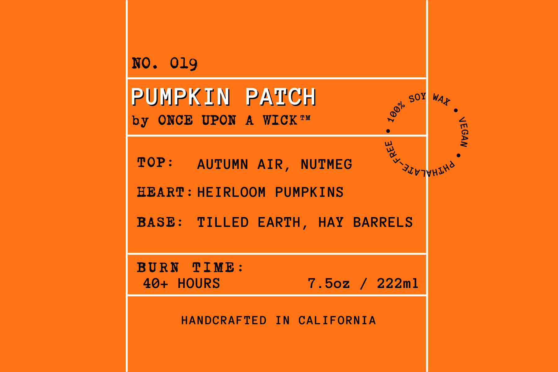 No. 019 | Pumpkin Patch ✦ Autumn Collection